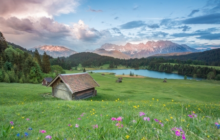 心理健康辅导活动